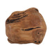 12-teakwood-bowl-w-capiz-natural-7