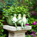 12-three-sitting-frogs-planter-green-13