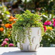 12x10-sculptural-hobnail-planter-white-5