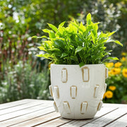 12x10-sculptural-hobnail-planter-white-6