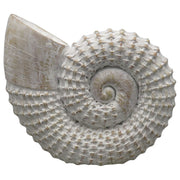 12x11-woven-shell-decor-white-1