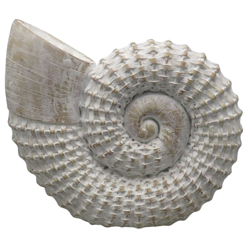 12x11-woven-shell-decor-white-1