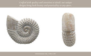 12x11-woven-shell-decor-white-11