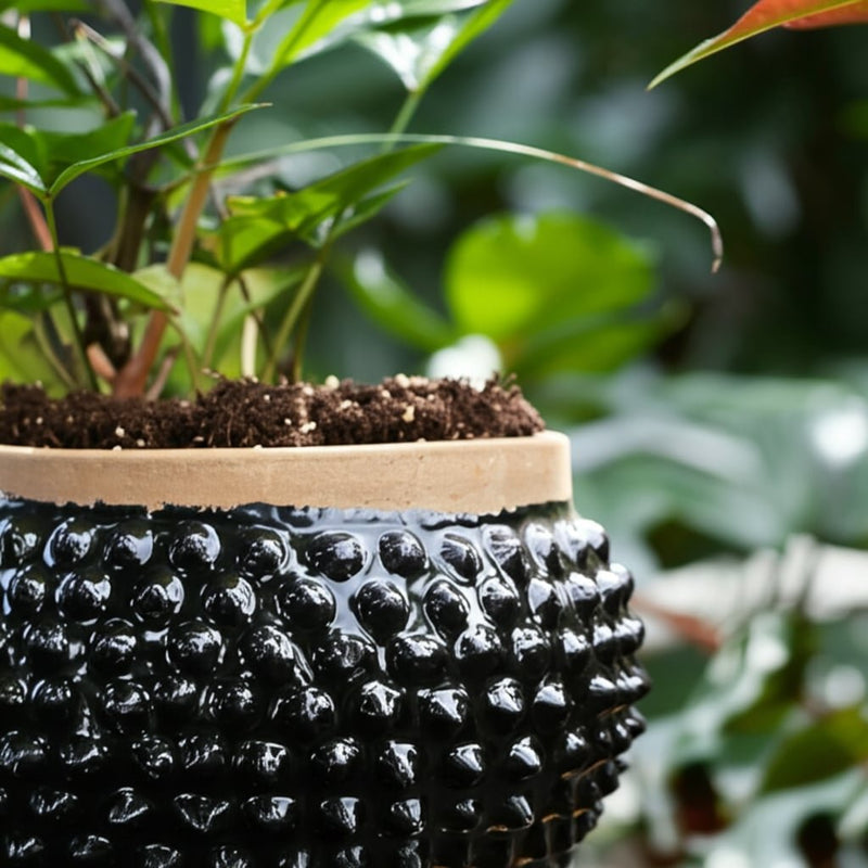 12x7-round-bubble-planter-black-brown-7