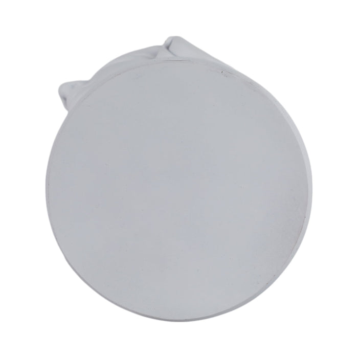 12x8-modern-grecian-with-headphones-white-8