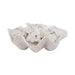 13-pearlized-shell-bowl-ivory-2