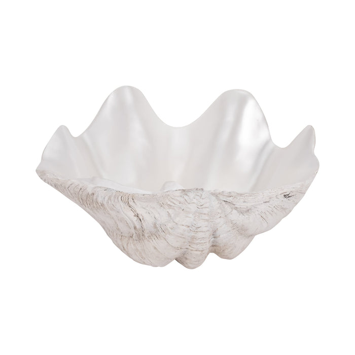 13-pearlized-shell-bowl-ivory-5