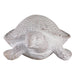 13-sea-turtle-woven-pattern-white-3