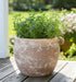 13-textured-stoneware-jug-planter-ivory-12