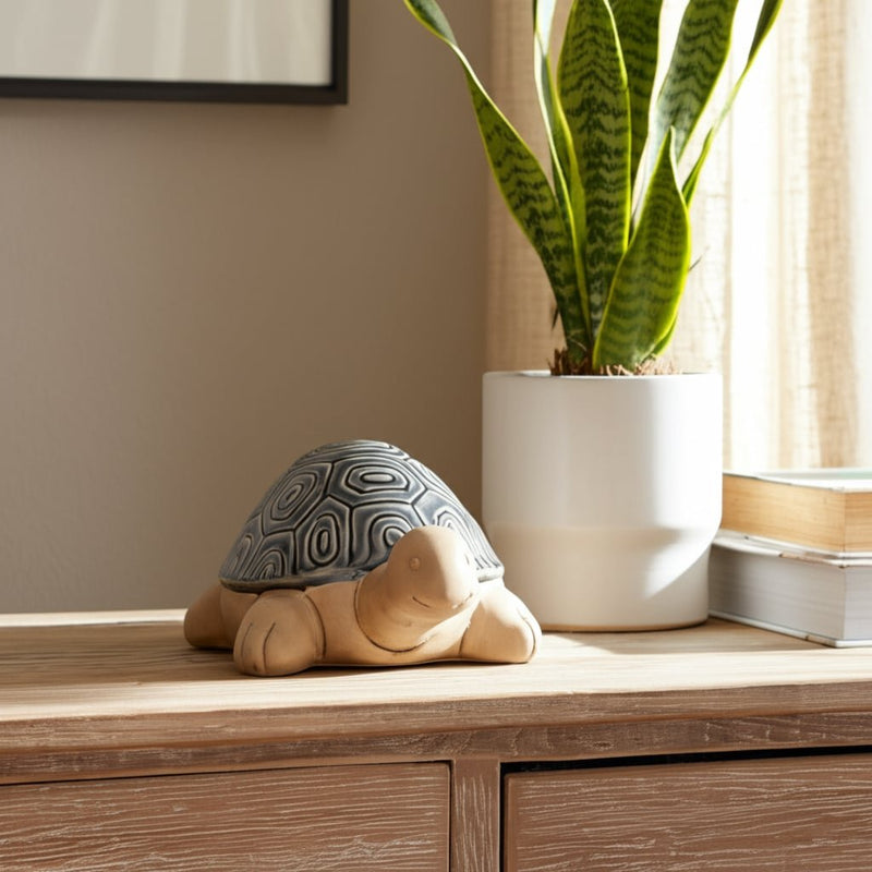 13-tortoise-deco-gray-11