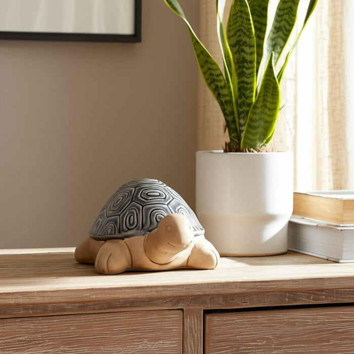 13-tortoise-deco-gray-11