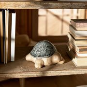 13-tortoise-deco-gray-13
