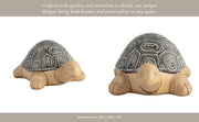 13-tortoise-deco-gray-14