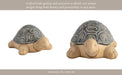 13-tortoise-deco-gray-14