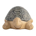 13-tortoise-deco-gray-2