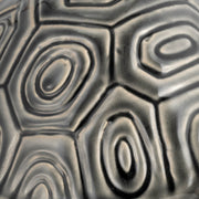 13-tortoise-deco-gray-5