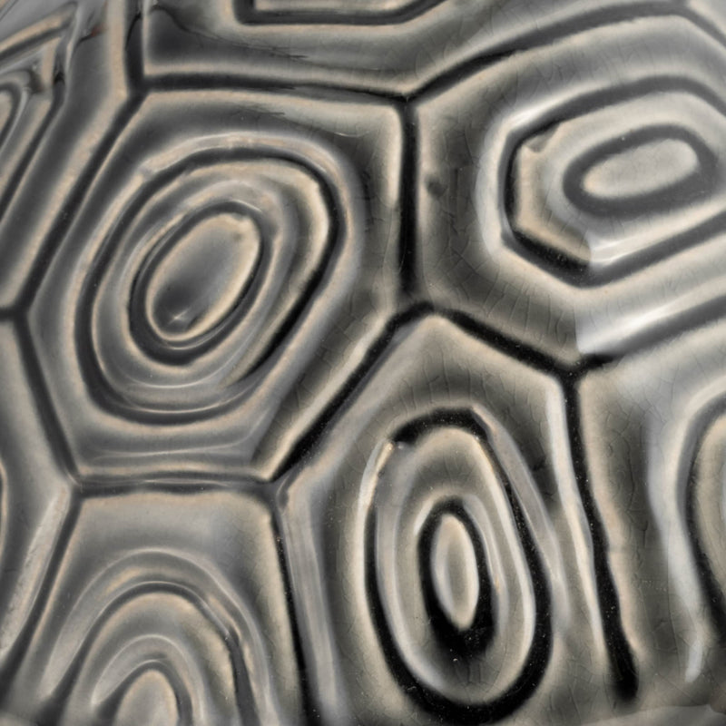 13-tortoise-deco-gray-5