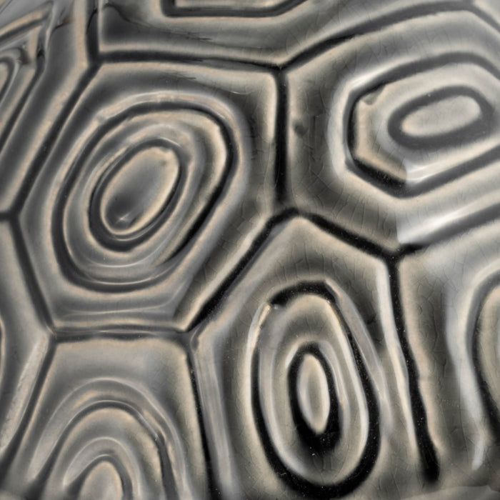 13-tortoise-deco-gray-5