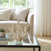 14-branching-coral-on-glass-base-white-11