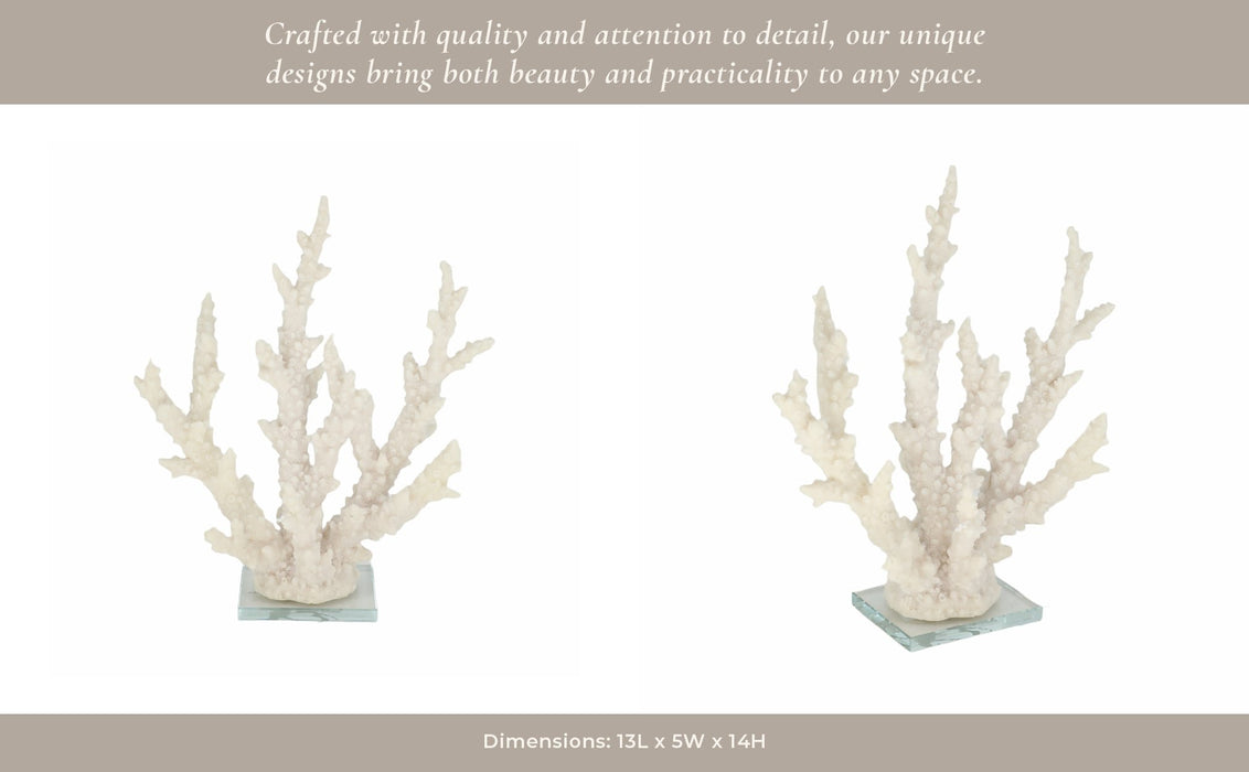 14-branching-coral-on-glass-base-white-12