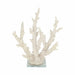 14-branching-coral-on-glass-base-white-1