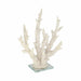 14-branching-coral-on-glass-base-white-2