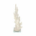 14-branching-coral-on-glass-base-white-3