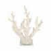 14-branching-coral-on-glass-base-white-4