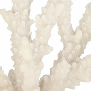14-branching-coral-on-glass-base-white-5