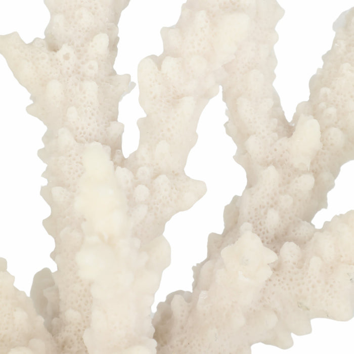 14-branching-coral-on-glass-base-white-5