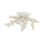 14-branching-coral-on-glass-base-white-6