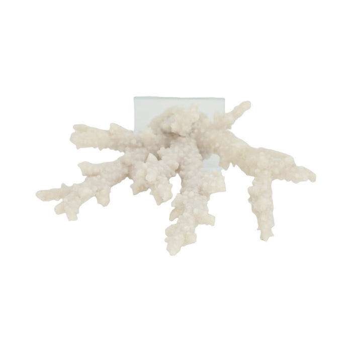 14-branching-coral-on-glass-base-white-6