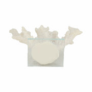 14-branching-coral-on-glass-base-white-7