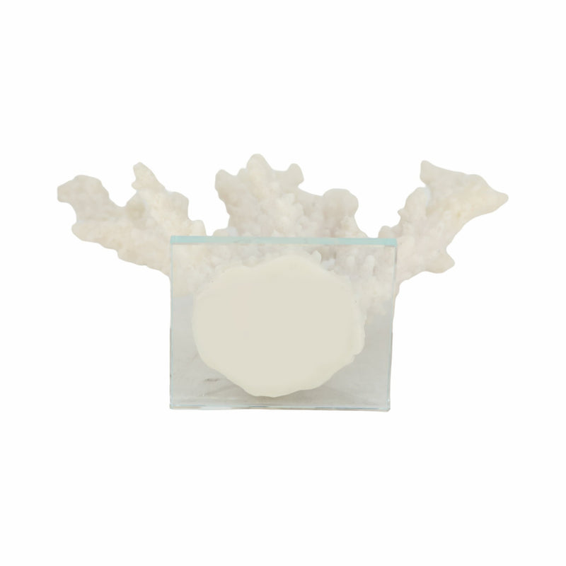 14-branching-coral-on-glass-base-white-7