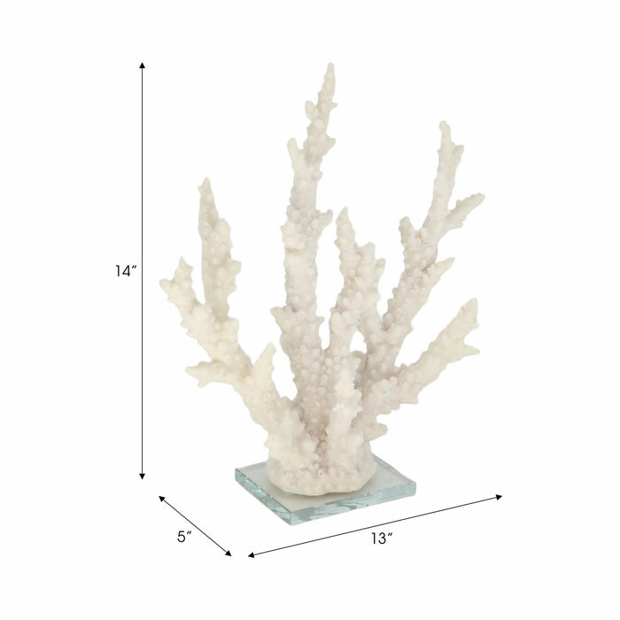 14-branching-coral-on-glass-base-white-8