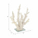 14-branching-coral-on-glass-base-white-8