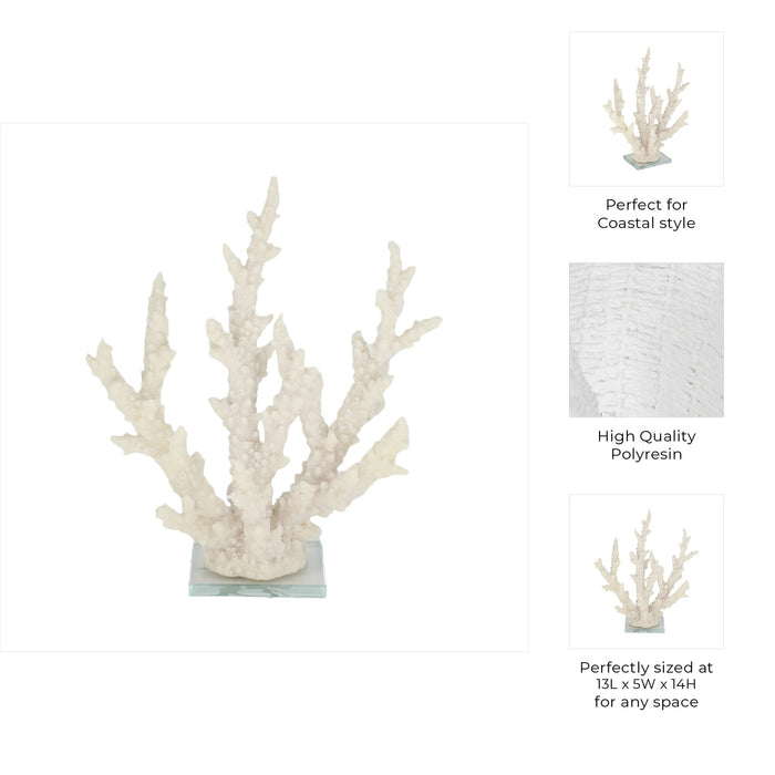 14-branching-coral-on-glass-base-white-9