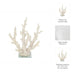 14-branching-coral-on-glass-base-white-9