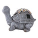 14x10-turtle-with-solar-flowers-grey-multi-4