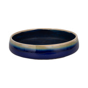15-reactive-succulent-planter-bowl-blue-white-2