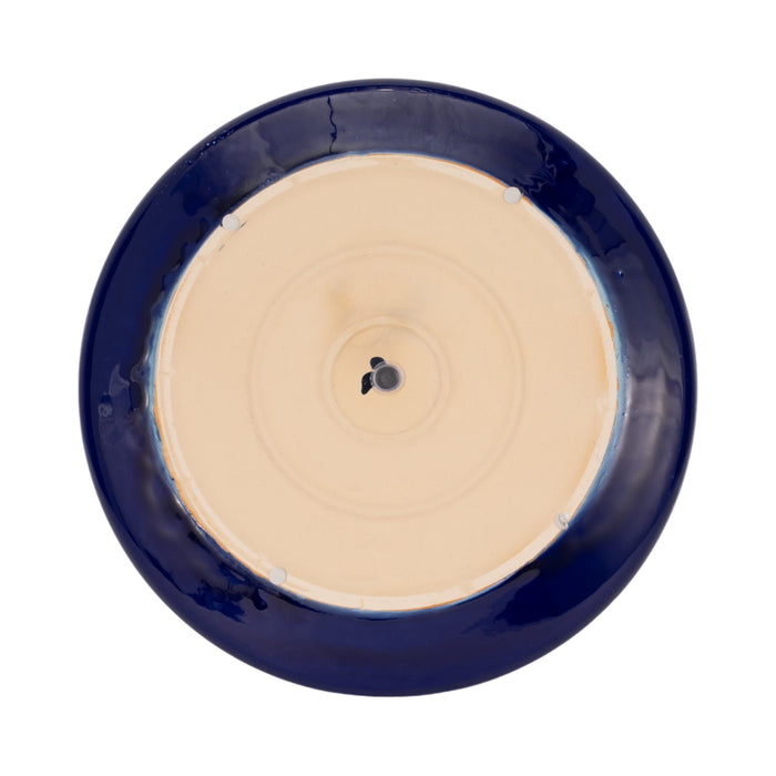 15-reactive-succulent-planter-bowl-blue-white-5