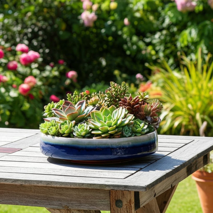 15-reactive-succulent-planter-bowl-blue-white-8
