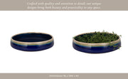 15-reactive-succulent-planter-bowl-blue-white-9