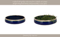 15-reactive-succulent-planter-bowl-blue-white-9