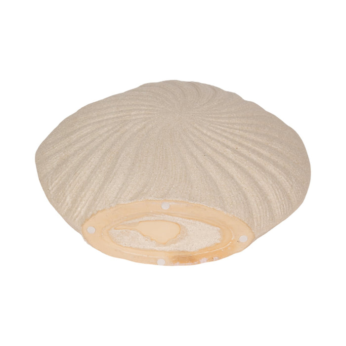 15-white-sand-shell-vase-white-7