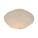 15-white-sand-shell-vase-white-7