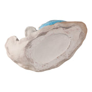 15x14-stacked-snails-with-colored-shells-ivory-m-7
