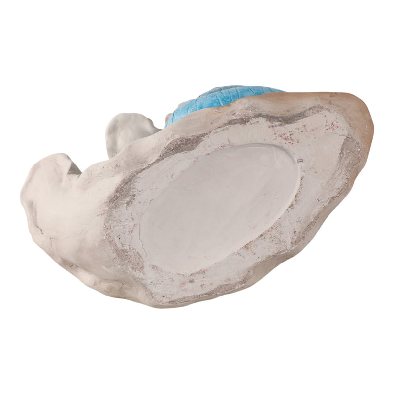 15x14-stacked-snails-with-colored-shells-ivory-m-7