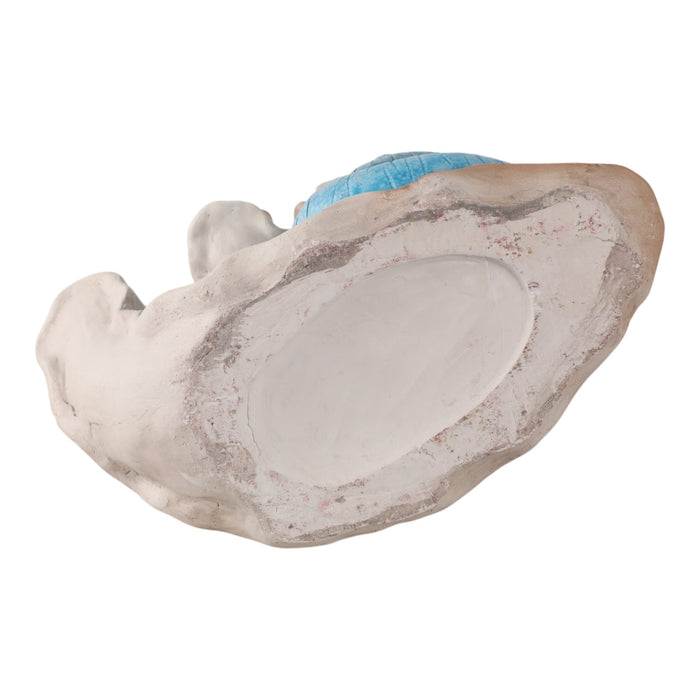 15x14-stacked-snails-with-colored-shells-ivory-m-7