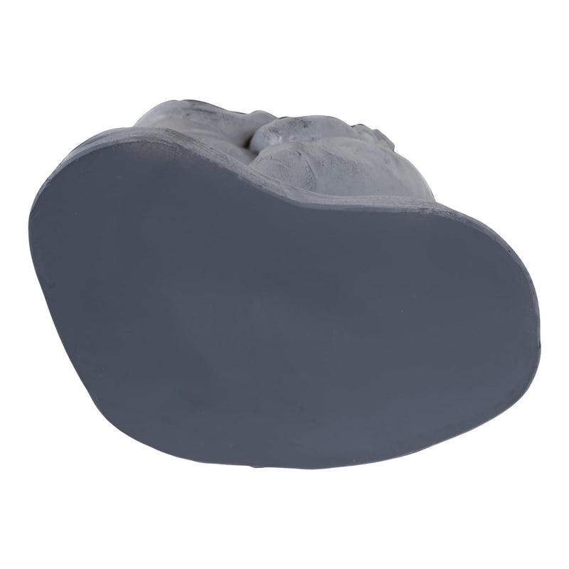 15x9-frog-waltz-grey-7